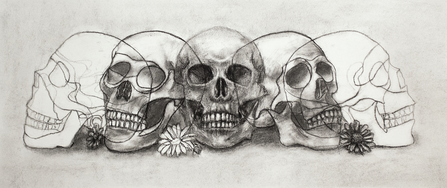 Charcoal sketch of skulls